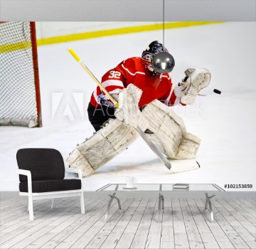 Picture of Hockey goalie in generic red equipment protects gate
